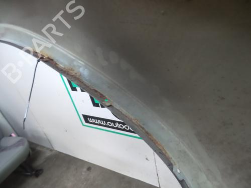 Right front fenders BMW X5 (E53) 3.0 d | BP19613457C42 