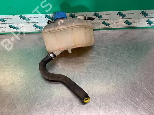 Used Expansion tank FIAT BRAVO II (198_) 1.9 D Multijet (198AXC1B) (150 hp) 19620465