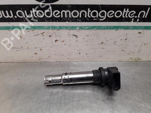 Used Ignition coil VW GOLF V (1K1) 1.6 FSI (115 hp) 19614017