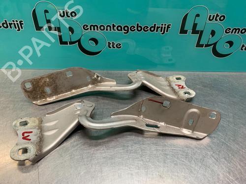Hinge/Door check strap RENAULT TWINGO II (CN0_) 1.2 (CN0D) | BP19622455C146 