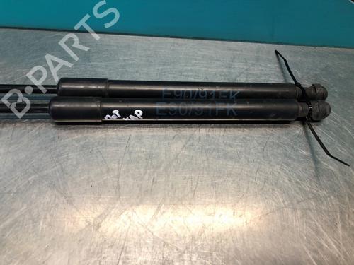 Hood lift support BMW 3 (E90) 318 i | BP28305615C139 