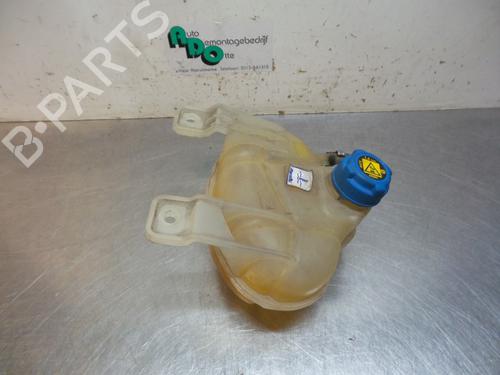 Used Expansion tank FIAT GRANDE PUNTO (199_) 1.2 (65 hp) 19603597