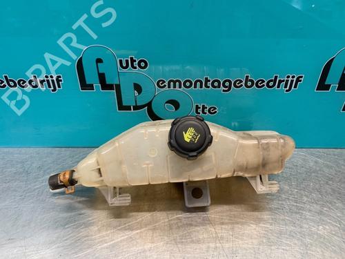 Używane Zbiornik wyrównawczy RENAULT CLIO III (BR0/1, CR0/1) 1.2 16V (BR02, BR0J, BR11, CR02, CR0J, CR11) (75 hp) 19625016