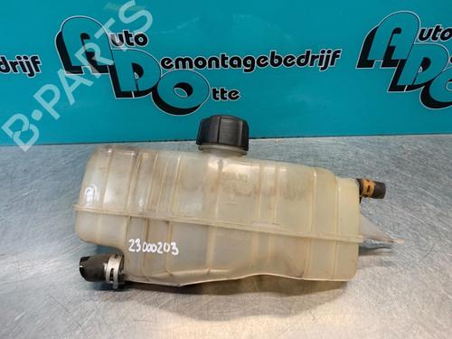 Expansion tank RENAULT CLIO III (BR0/1, CR0/1) 1.2 16V (BR02, BR0J, BR11, CR02, CR0J, CR11) | BP19625016C120 