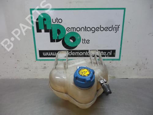 Used Expansion tank FIAT GRANDE PUNTO (199_) 1.2 (65 hp) 19613220