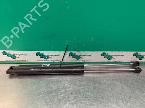 Used Tailgate lift support Tailgate lift support RENAULT CLIO III (BR0/1, CR0/1) 1.5 dCi (88 hp) 19617614 19617614