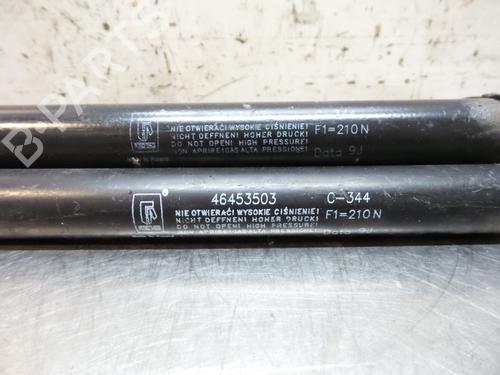 Tailgate lift support FIAT SEICENTO / 600 (187_) 1.1 (187AXB, 187AXB1A, 187AXC1A02) | BP19585716C138 