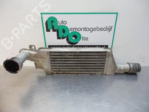 Intercooler OPEL COMBO Box Body/MPV 1.3 CDTI 16V (69 hp) 19606495