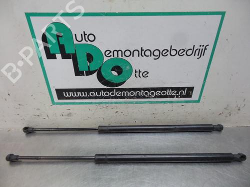 Used Tailgate lift support BMW X5 (E53) 3.0 d (184 hp) 19613569