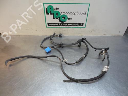Ledningsnet FIAT PUNTO EVO (199_) 1.4 (199AXB1A) (77 hp) 19612244