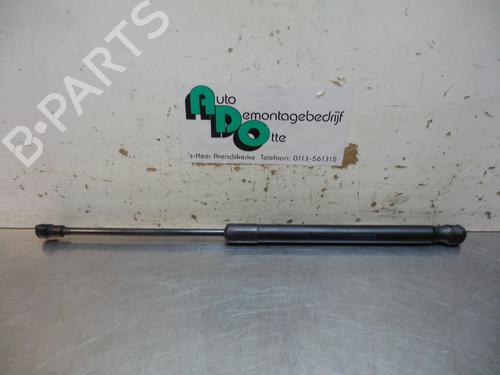 Used Hood lift support VW CADDY III Box Body/MPV (2KA, 2KH, 2CA, 2CH) 1.9 TDI (105 hp) 19605032