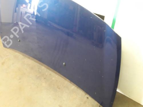 Hood RENAULT CLIO III (BR0/1, CR0/1) 1.4 16V | BP19614953C1 