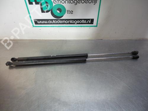 Used Tailgate lift support CITROËN C8 (EA_, EB_) 2.2 (158 hp) 19608041