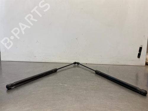 Gasdæmper bagklap VW POLO V (6R1, 6C1) 1.2 TDI (75 hp) 30091803