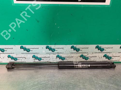 Used Tailgate lift support FIAT BRAVO II (198_) 1.9 D Multijet (198AXC1B) (150 hp) 19620433