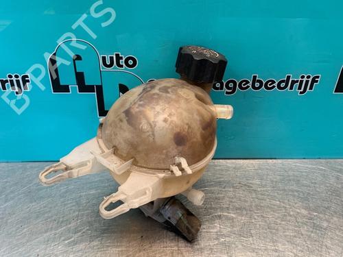 Used Expansion tank PEUGEOT 207 (WA_, WC_) 1.6 16V Turbo (150 hp) 19624409
