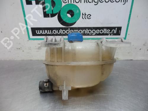 Expansion tank FIAT GRANDE PUNTO (199_) 1.2 | BP19613220C120