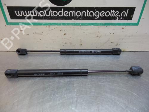 Used Hood lift support CHRYSLER 300C (LX, LE) 2.7 (193 hp) 19610653