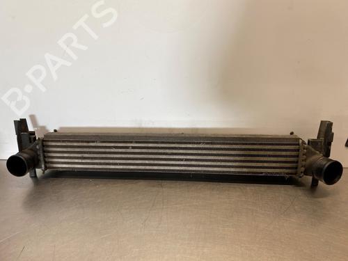 Used Intercooler VW POLO V (6R1, 6C1) 1.2 TDI (75 hp) 29025263