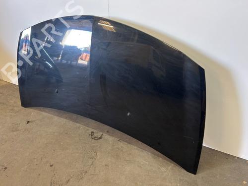 Hood RENAULT CLIO III (BR0/1, CR0/1) 1.4 16V | BP28299946C1 