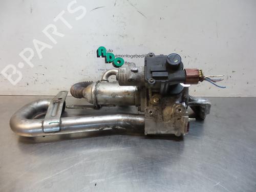 Used Egr NISSAN NV200 Van 1.5 dCi 85 (M20, M20N, M20M) (86 hp) 19602289