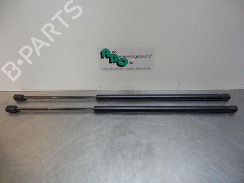 Used Tailgate lift support FORD FIESTA V (JH_, JD_) 1.3 (69 hp) 19597726
