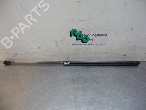 Hood lift support CITROËN C1 (PM_, PN_) 1.0 | BP19598858C139 