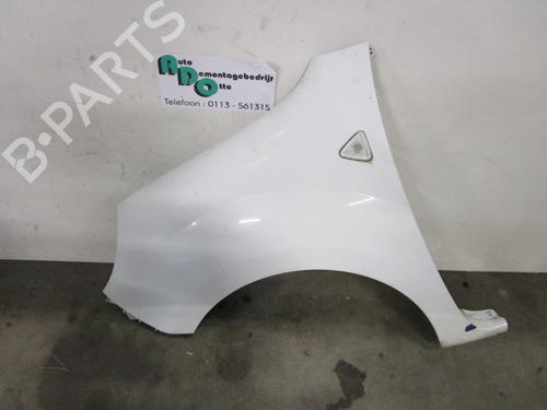 Used Left front fenders RENAULT KANGOO Express (FW0/1_) 1.5 dCi 70 (FW0A, KW0V) (68 hp) 19590001