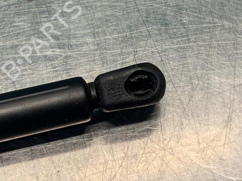 Hood lift support SEAT LEON (1M1) 1.8 20V | BP19628039C139 