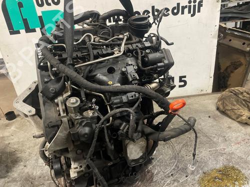 Motor VW POLO V (6R1, 6C1) 1.2 TDI | BP29932730M1