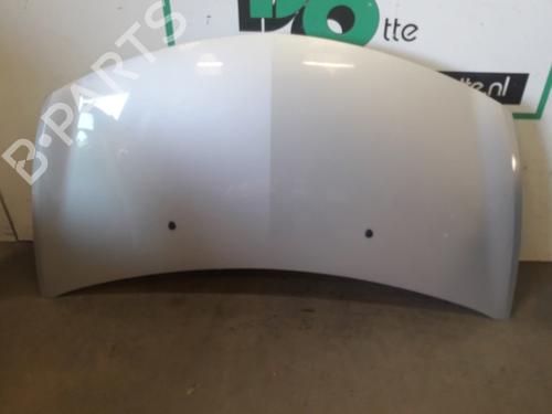 Used Hood RENAULT CLIO III (BR0/1, CR0/1) 1.2 16V (BR02, BR0J, BR11, CR02, CR0J, CR11) (75 hp) 19624888