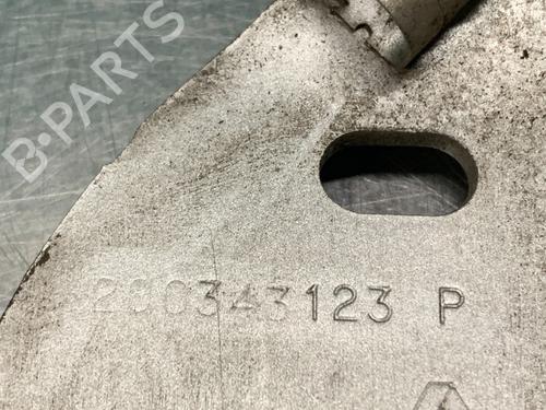 Hinge/Door check strap RENAULT TWINGO II (CN0_) 1.2 (CN0D) | BP19622455C146 