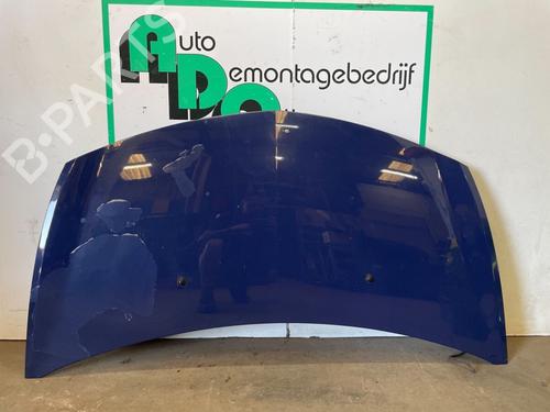 Hood RENAULT CLIO III (BR0/1, CR0/1) 1.2 16V (BR0R, BR1D, BR1L, CR0R) | BP19619907C1 