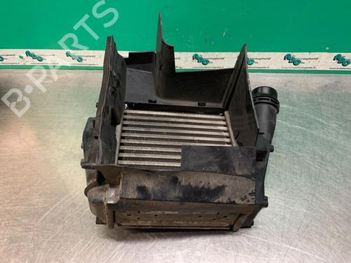 Intercooler RENAULT TWINGO II (CN0_) 1.5 dCi 90 (86 hp) 19617901