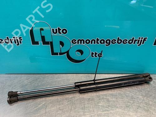 Used Tailgate lift support FIAT GRANDE PUNTO (199_) 1.4 Natural Power (78 hp) 19624687