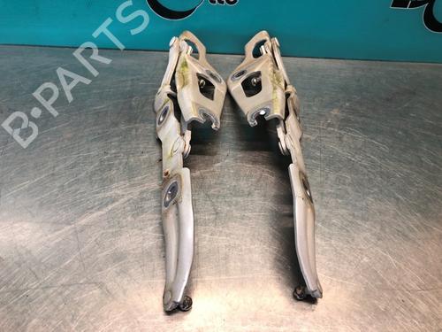 Hinge/Door check strap BMW 3 (E90) 318 i | BP28305620C146 