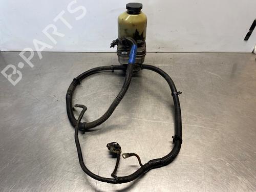 Pompa Idroguida OPEL MERIVA B MPV (S10) 1.7 CDTI (75) (110 hp) 29586249