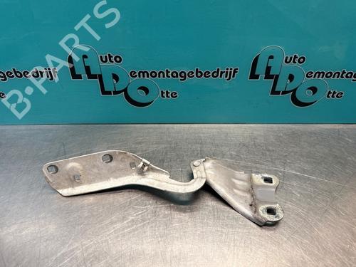 Used Hinge/Door check strap RENAULT TWINGO II (CN0_) 1.2 16V (CN04, CN0B) (75 hp) 28299233