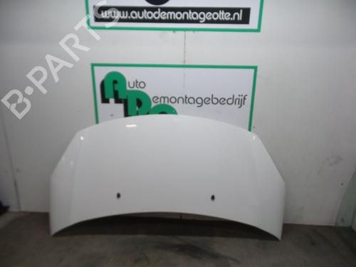 Used Hood CITROËN C3 II (SC_) 1.6 HDi (92 hp) 19612596