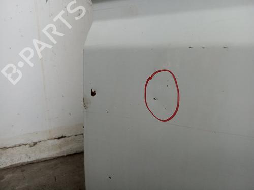Right front door NISSAN TERRANO II (R20)  | BP19564846C3 