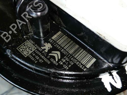 Fuel pump CITROËN C4 II (NC_) 1.6 BlueHDi 100 | BP31795315M76