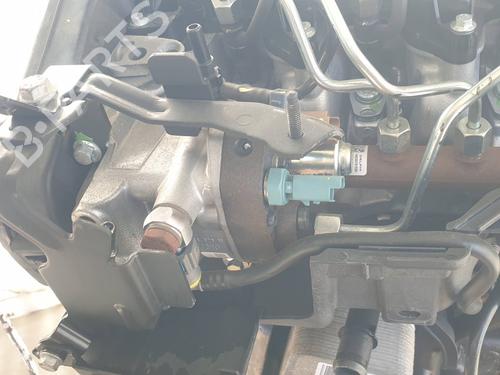 Engine RENAULT CLIO III (BR0/1, CR0/1)  | BP19572590M1 