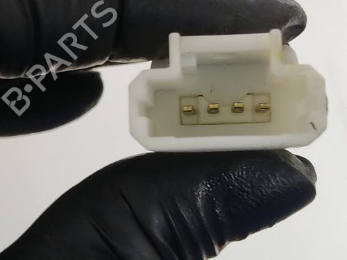 Switch RENAULT CLIO III (BR0/1, CR0/1)  | BP19572467I30 
