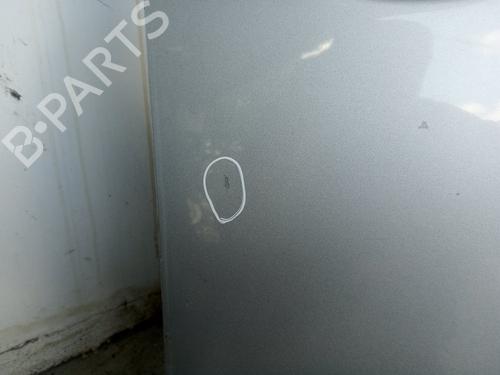 Right front door MERCEDES-BENZ E-CLASS (W210) E 270 CDI (210.016) | BP19564923C3