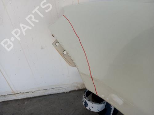 Left front fenders FIAT PUNTO (188_) 1.9 JTD | BP19563522C41 