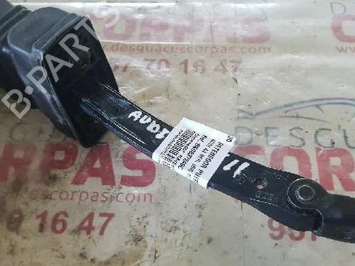 Hinge/Door check strap AUDI A4 B8 (8K2)  | BP19554196C146 