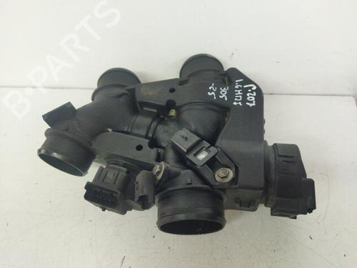 Spjeldhus PEUGEOT 207 (WA_, WC_) [2006-2015]  30787218