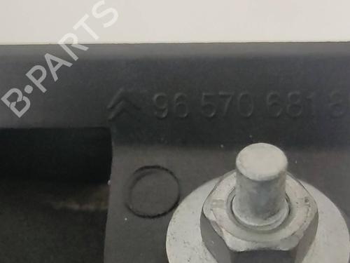 Tailgate handle CITROËN C4 I (LC_)  | BP19572101C132 