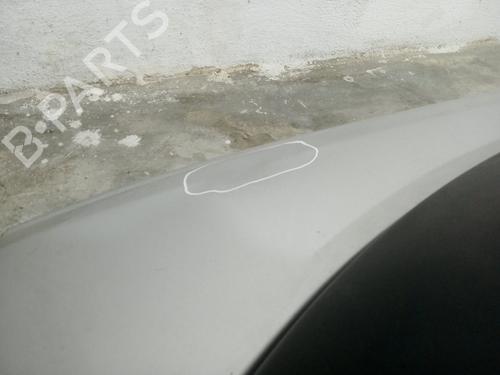Left front fenders LAND ROVER DISCOVERY III (L319)  | BP29437643C41 