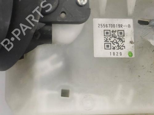 Switch RENAULT SCÉNIC III (JZ0/1_)  | BP19569626I30 